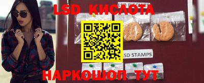 шишки Конаково