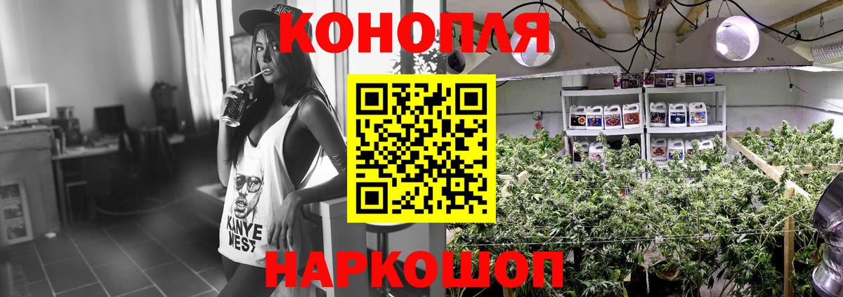 Бошки Шишки VHQ Юрга